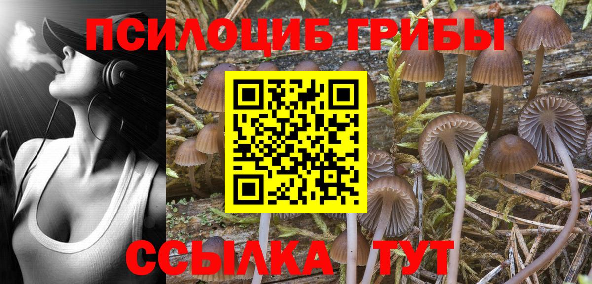Галлюциногенные грибы GOLDEN TEACHER Жуковский