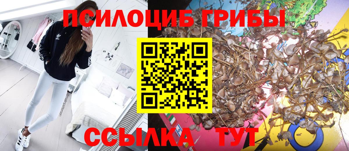 A PVP СК   Вход с VPN  ГАШ  Мефедрон кристаллы  COCAIN  МЕТ  Марихуана  Жуковский  ГАШИШ 