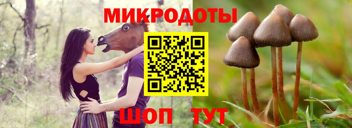 Жуковский  Псилоцибиновые грибы мухоморы  Вход с VPN 